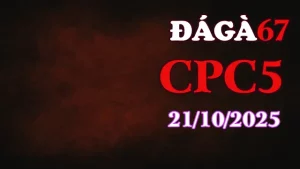 Clip gà chọi trực tiếp C5 full HD ngày 21/10/2025