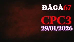 Video Đá Gà Trực Tiếp Thomo CPC3 Ngày 29012026