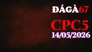 Xem clip đá gà thomo CPC5 hôm nay 14052026
