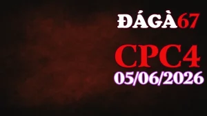 Video đá gà CPC4 hôm nay 05062026 tại trường gà Thomo